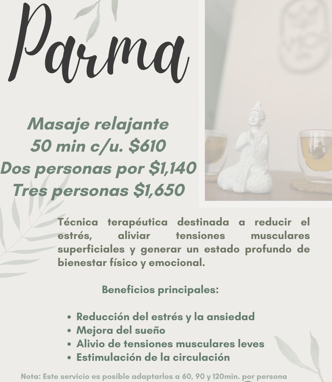 Paquete Parma